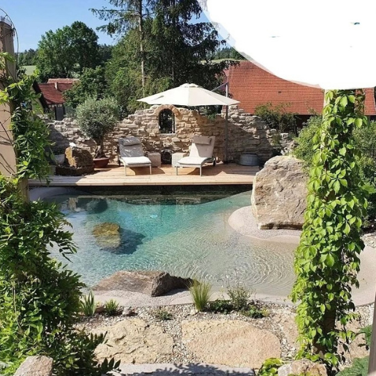 Ilha de pedras com plantas